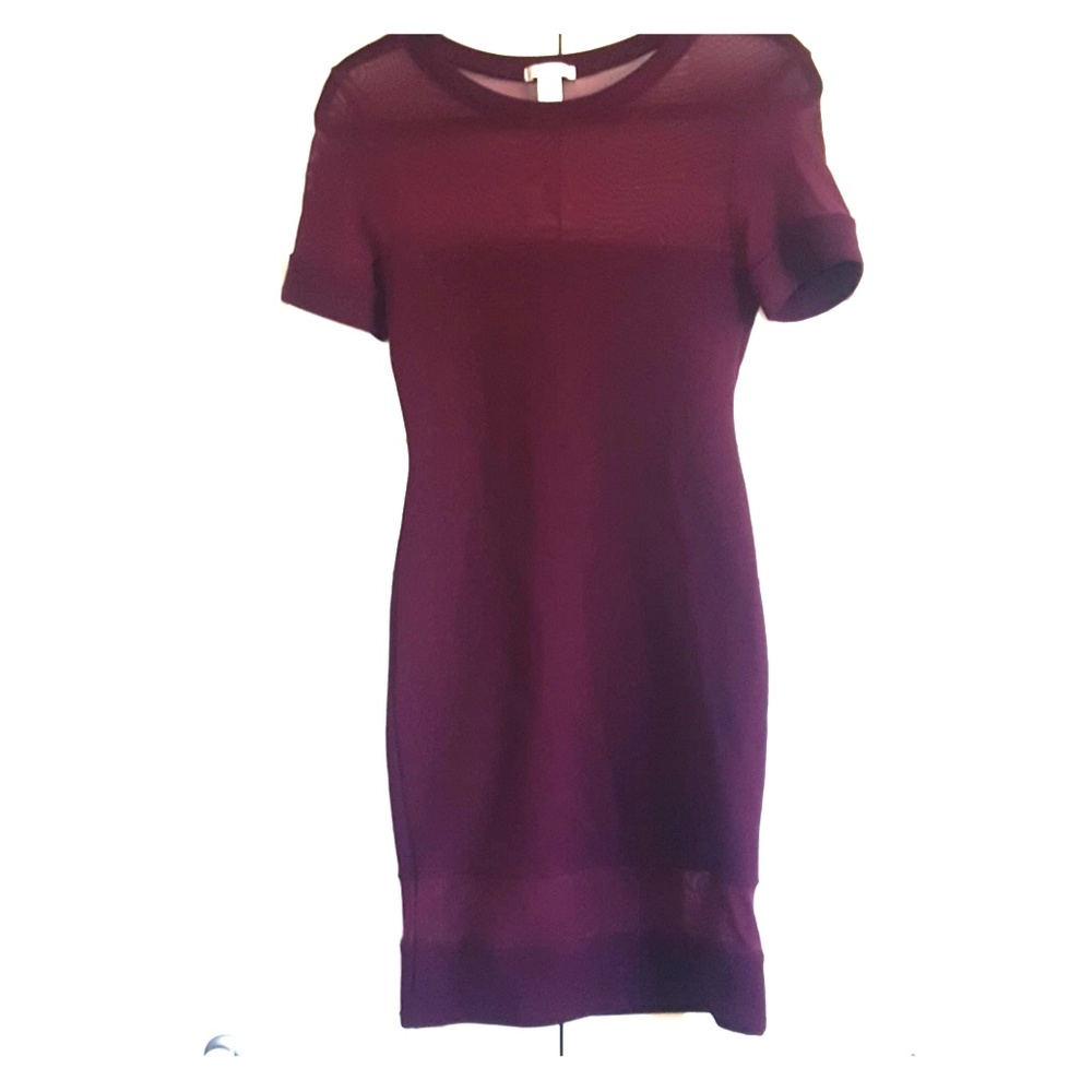 The "sheer tip to toe" Dress