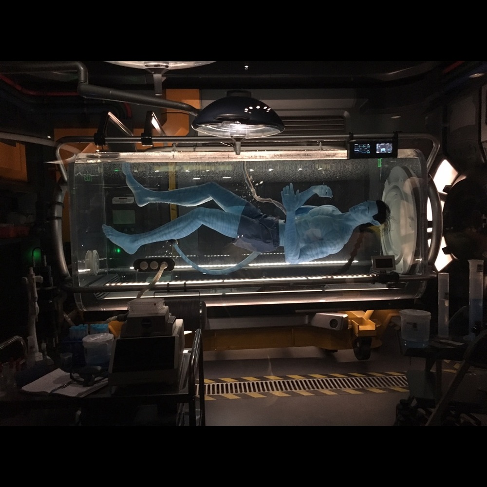 Meet your Posher, Alejandro