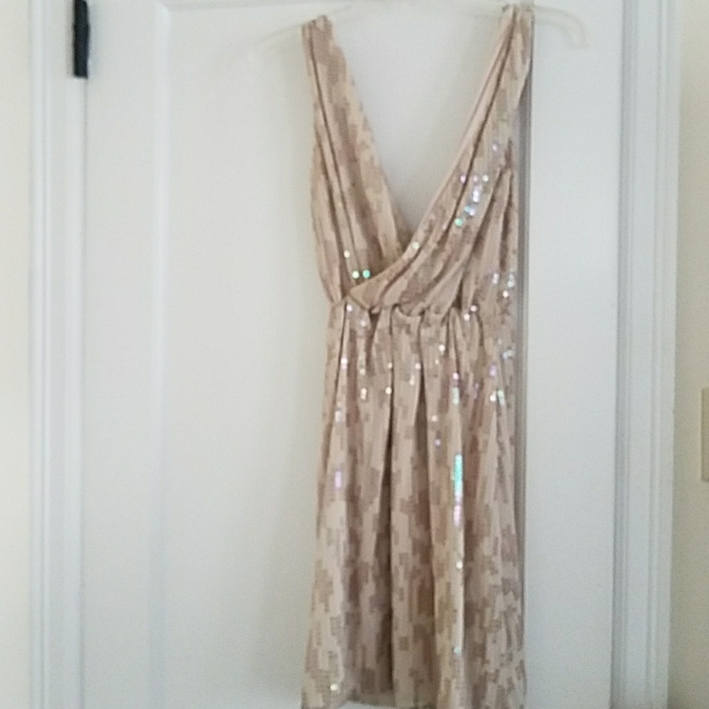 Express gold sequin dress