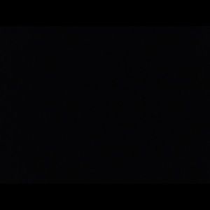 Meet your Posher, Frank