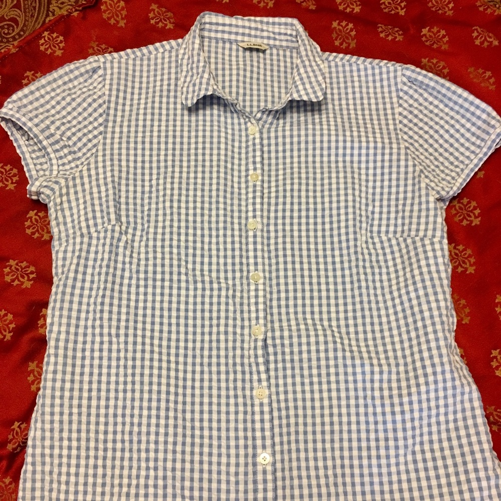 L L Bean Blue & White Button Up