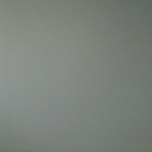 Meet your Posher, Michele