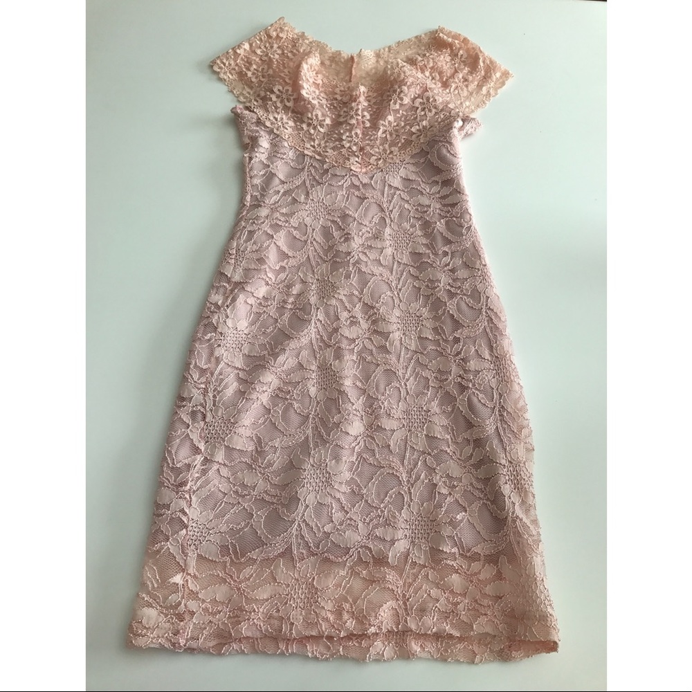 Baby Pink Lace Bodycon Dress - Picture 4 of 6