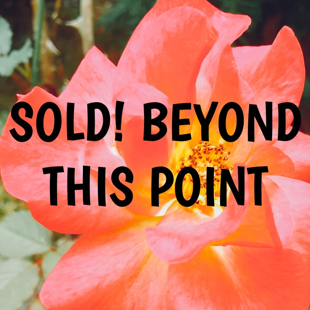 ♦️SOLD♦️