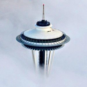 Meet your Posher, Cat man