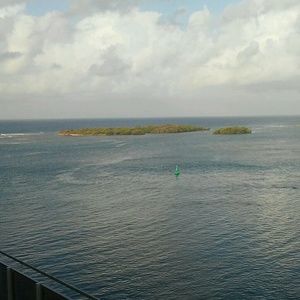 Meet your Posher, Vicky