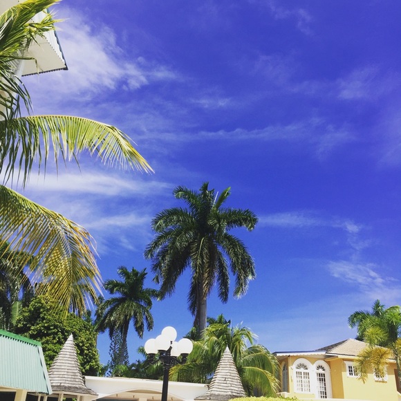 Meet your Posher, Betsy - Picture 6 of 6