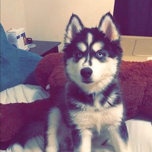 Meet your Posher, Brooke