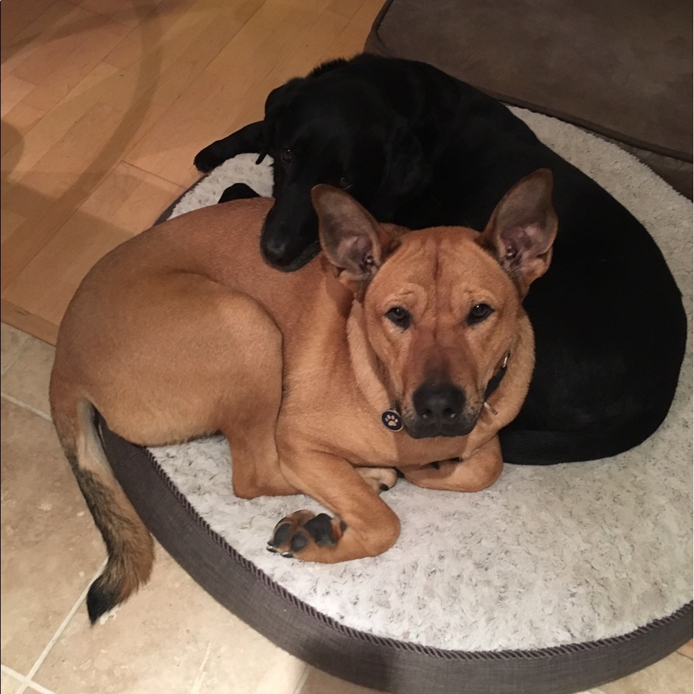 Meet your Posher, Natasha