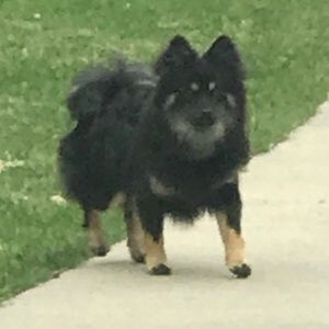 Meet your Posher, Katherine