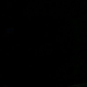 Meet your Posher, Timothy