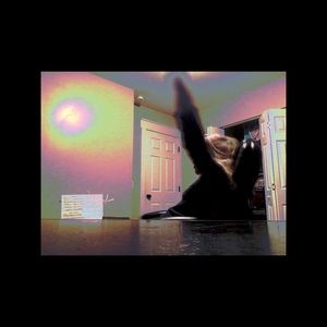 Meet your Posher, Addie