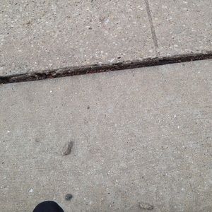 Meet your Posher, Frank