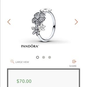 Pandora ring