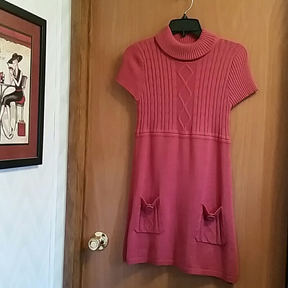 Turtleneck  Sweater Tunic Top