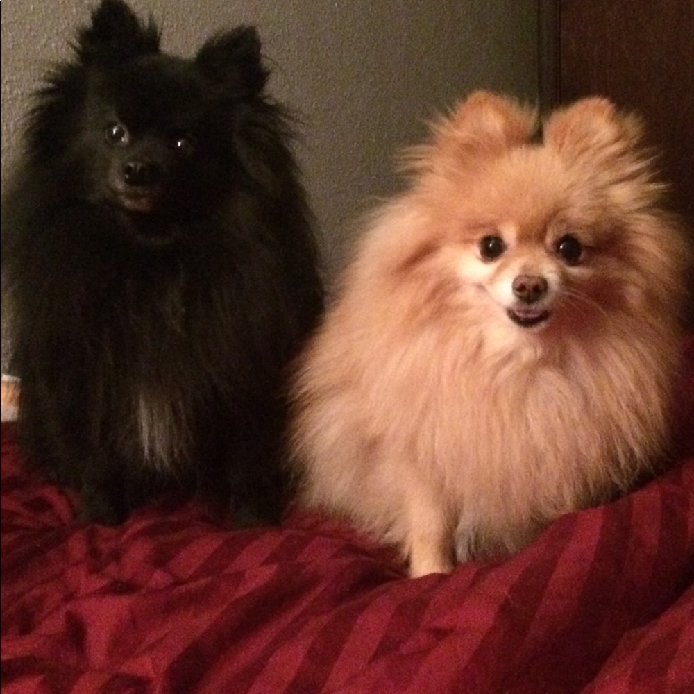 Meet your posher, Tiffany.