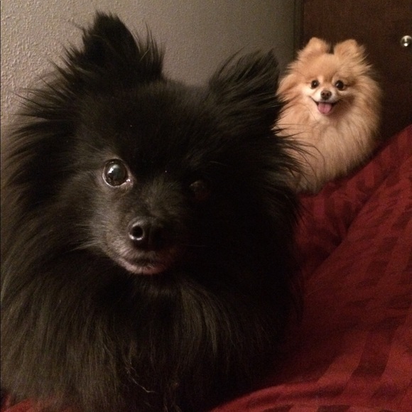 Meet your posher, Tiffany. - Picture 3 of 5