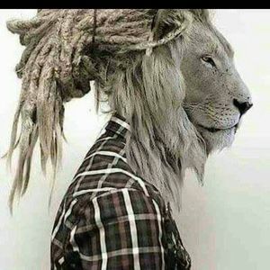 Meet your Posher, Terrell