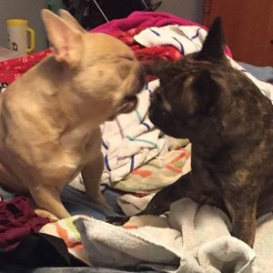 Meet your Posher, Crystal