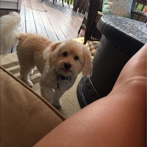 Meet your Posher, Kirstyn