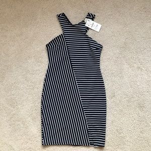 Striped Zara Dress