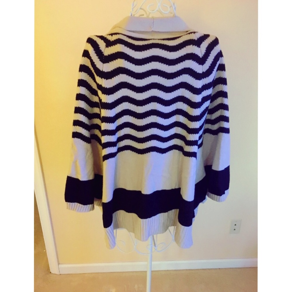 Francesca's Sweater