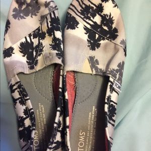 Palm tree Toms