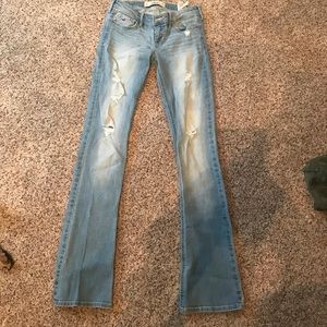 Boot cut Hollis tee jeans