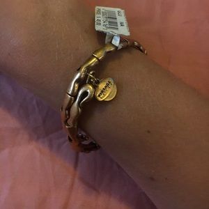 Alex and Ani Vintage Sixty-Six