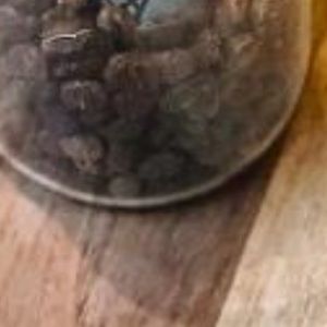 Meet your Posher, Ava