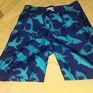 Blue Shark Swimming Shorts