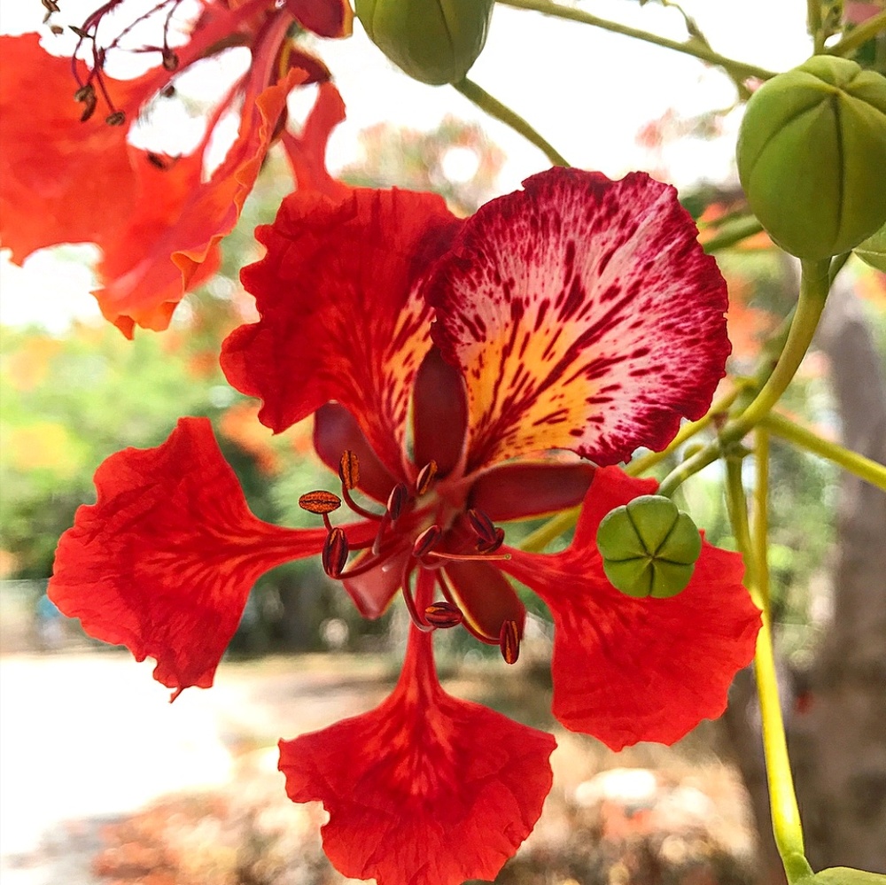 Meet your Posher, Sonya