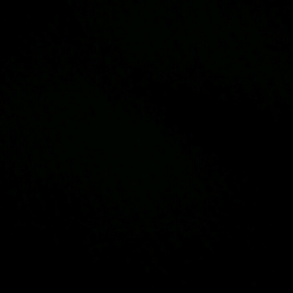 Meet your Posher, Jeremiah - Picture 1 of 1