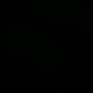 Meet your Posher, Jeremiah