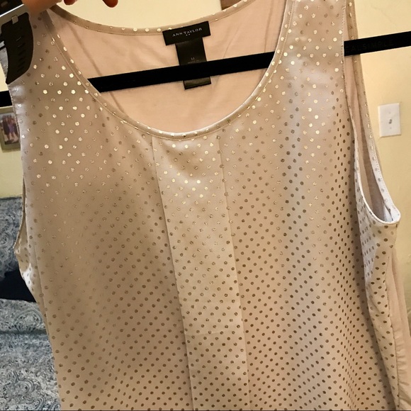 Ann Taylor silver spotted top - Picture 5 of 5