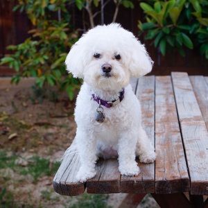 Meet your Posher, Anne