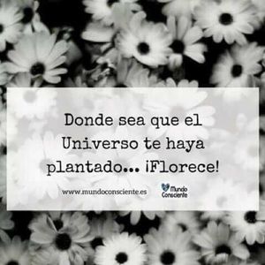 Meet your Posher, Lidia