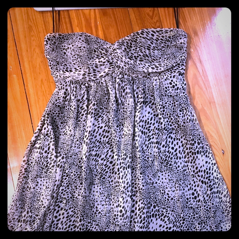 Express design studio cocktail dress