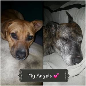 Meet your Posher, Britney