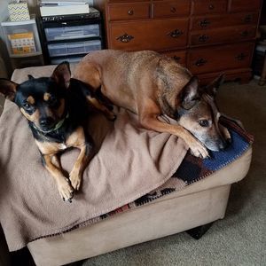 Meet your Posher, Deborah