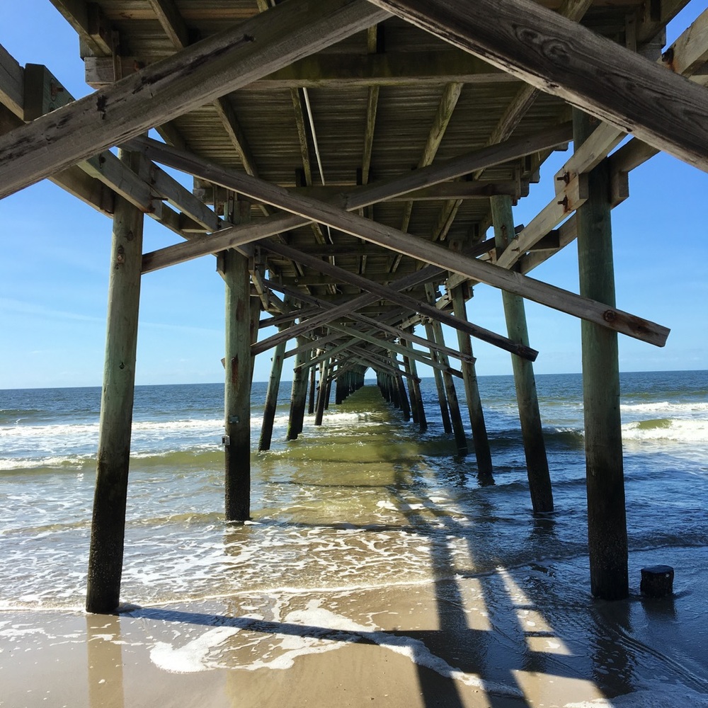 Meet your Posher, Jana