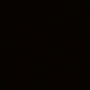 Meet your Posher, Genesis