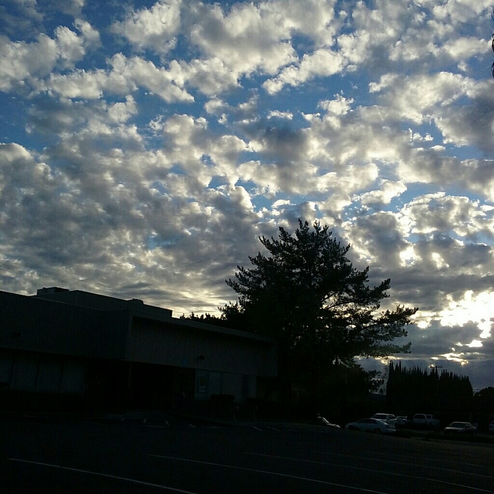 Meet your Posher, Shayla