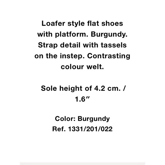 PLATFORM LOAFER WITH TASSEL BRAND NEW - Picture 8 of 8