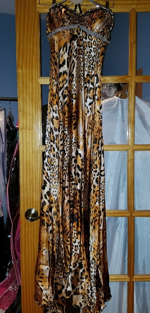 Baccio Evening Dress