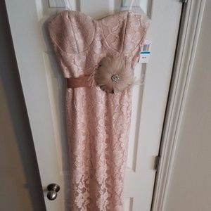 Champagne Lace Strapless Dress