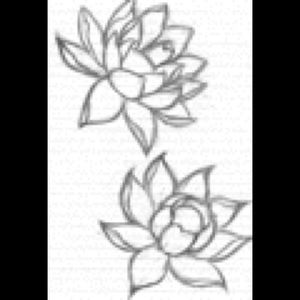 Meet your Posher, Jefferson