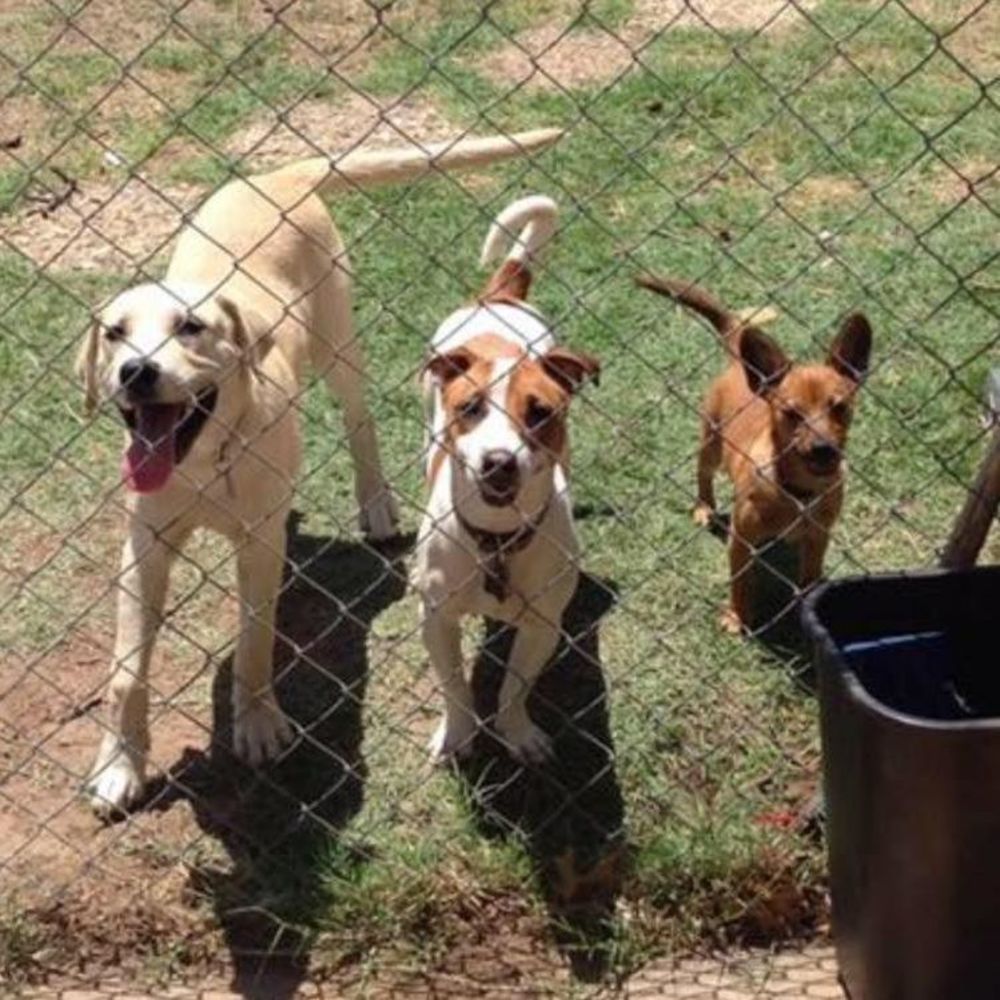 Meet your Posher, Martha