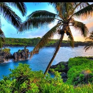 Meet your Posher, Merrillee