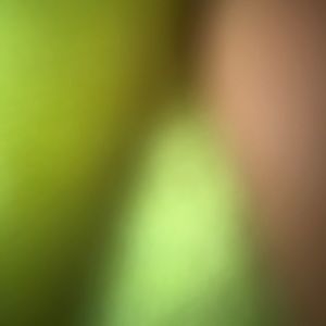 Meet your Posher, Ethan